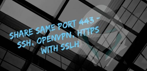 Listen SSH, OpenVPN, HTTPS on same port using sslh